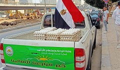 zeraaaa13.jpg