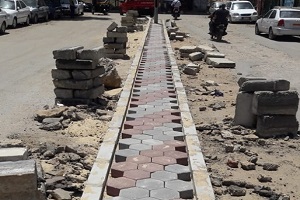 rasf.jpg (3)
