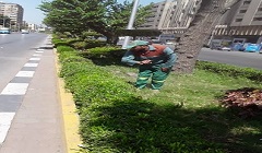 رفع كفاءة الشارع والاهتمام بمنظومة النظافة بنطاق الحي  