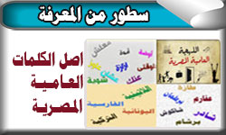 أصل الكلمات العامية المصرية