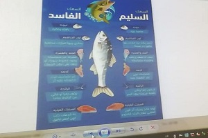 مديرية الطب البيطري: اقامة ندوة توعوية بمستشفى الهلال بمناسبة اقتراب موسم شم النسيم