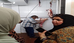 حملة مكبرة بنطاق الحي 