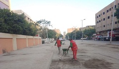tora27.8.jpg
