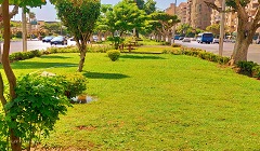 haiah3hk.jpg