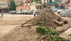 تفقد تطوير مربع القبة الجديدة بنطاق الحي 