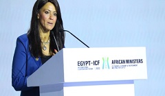 Mashat_Cop27.jpg