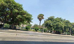 masr5.12.jpg