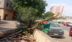 متابعة الاعمال اليومية بنطاق الحي 