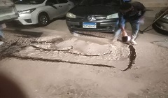 maaadeee8.7.jpg