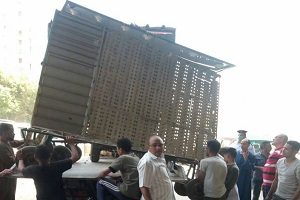 حملة لرفع الاشغالات بالمرج الجديدة  