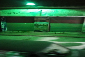 hewan 5.1.jpg