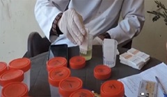 Egypt_drug_test.jpg