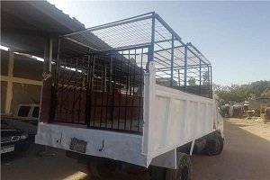 رئيس حي السيدة زينب: «سيارة مجهزة للقضاء على الكلاب الضالة»