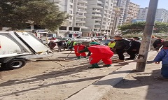 dar5.1.jpg