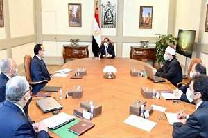 president_sisi_meeting.jpg (1)
