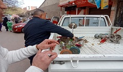 masr13.1.jpg (1)