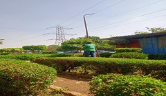 msara8.7.jpg
