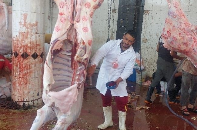 استمرار استقبال أضاحي المواطنين بالمجان في المجازر الحكومية طوال العيد 
