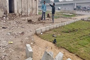 تطوير حديقة اميرية البلد