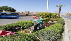 استعادة المظهر الحضاري لشوارع الحي