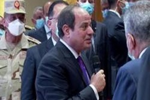 Sisi_inspect_simulator.jpg