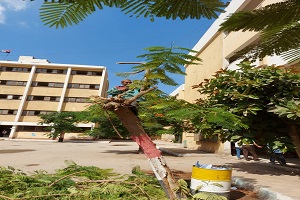 متابعة الاعمال اليومية بالحي 