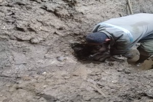 hamelah6.jpg