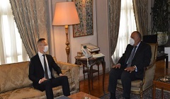 Egypt_foreign_minister.jpg (6)