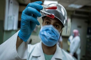 egypt_reports_810_cases.jpg