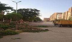 helwan16.8.jpg