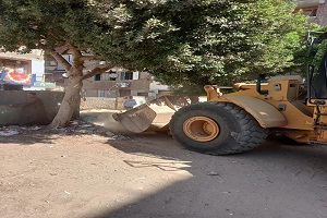 حملات لرفع مستوى كفاءة النظافة بشوارع وميادين الحي