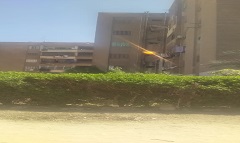 tpeen23.4.jpg