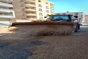 حملة نظافة وتشجير حي المقطم هدفها رفع الوعي البيئي