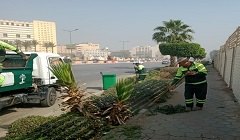 رفع كفاءة شارع لطفي السيد