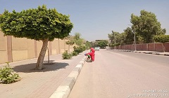 tpeen23.6.jpg (1)