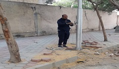 رفع كفاءة الشارع والاهتمام بمنظومة الانارة 