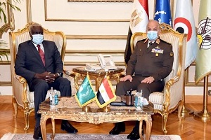 Egypt_defense_minister.jpg (1)