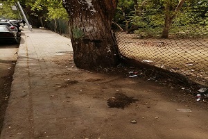 nafa.jpg