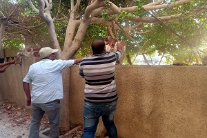 إزالة سور ومصادرة الابواب لعمارة بمساكن الشروق
