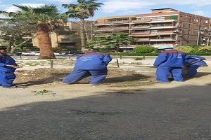 almaade 28.4.jpg