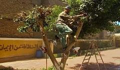 متابعة الاعمال اليومية بنطاق الحي 