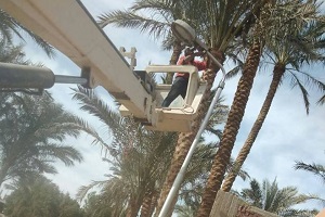 حملة مكبرة لرفع كفاءة الانارة بالحي