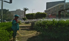 رفع كفاءة وتطوير الحدائق والمسطحات الخضراء بنطاق الحي