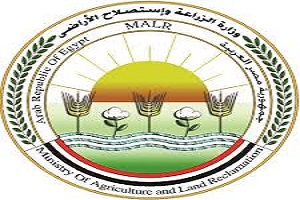 المركز المصرى للدراسات يقدم مقترحات لتأمين احتياجات مصر من المحاصيل الزراعية