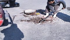 تطهير بالوعات الامطار بنطاق الحي 