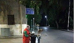 maade15.5.jpg