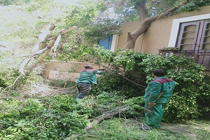 azbakya_sep2.jpg (1)
