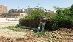 ضرورة استعادة المظهر الحضاري لشوارع العاصمة 
