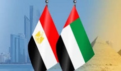 Egypt_UAE_health__ties.jpg