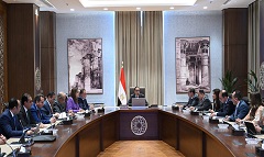 madboly2.jpg (1)